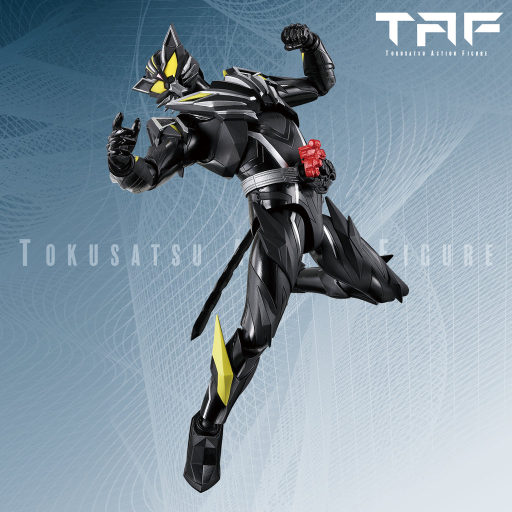 TAF KAMEN RIDER RID